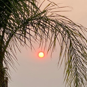 Smokey Sun